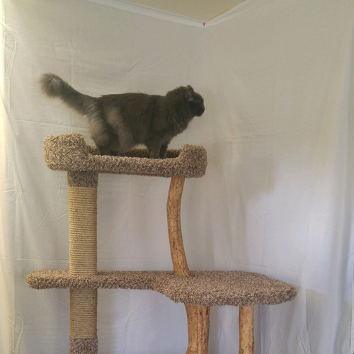 Handmade WTW cat tree in a customer home