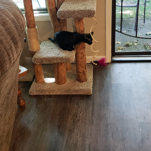 Handmade WTW cat tree in a customer home